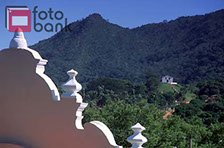 fotografia, fotos, arte, fineart, comunicação visual, impressão, design, criação, goiânia, workshop, curso, galeria, galeria fotográfica, fotogr