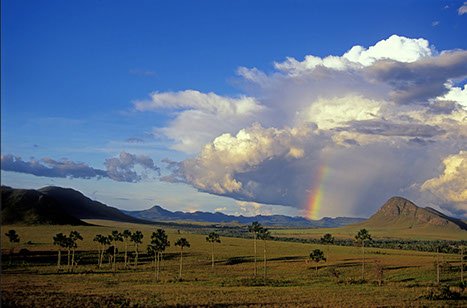 fotografia, fotos, arte, fineart, comunicação visual, impressão, design, criação, goiânia, workshop, curso, galeria, galeria fotográfica, fotogr