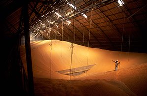 fotografia, fotos, arte, fineart, comunicação visual, impressão, design, criação, goiânia, workshop, curso, galeria, galeria fotográfica, fotogr